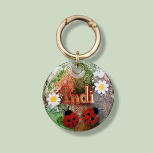 Penning "Ladybug"