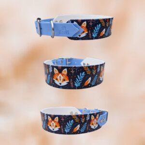 Boho Foxes