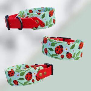 Ladybug
