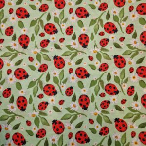 Ladybug